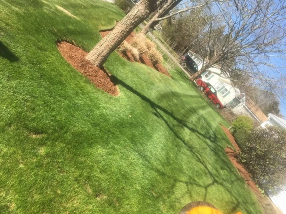 Affordable landscape installation with custom design across Mashpee, MA - DM Landscape Services