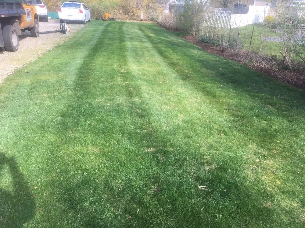 Professional yard cleanup service near you in Mashpee, MA by DM Landscape Services