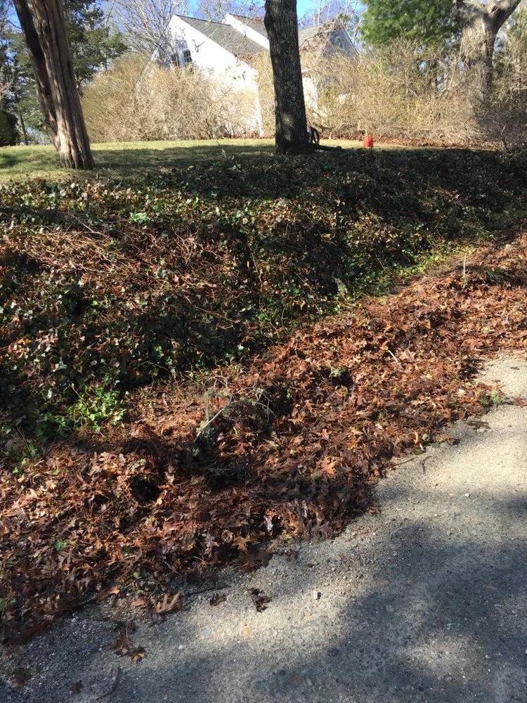 Top-rated lawn mowing service in Mashpee, MA by DM Landscape Services