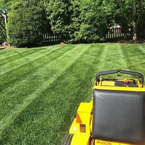 Expert yard cleanup service for homes across Mashpee, MA - DM Landscape Services
