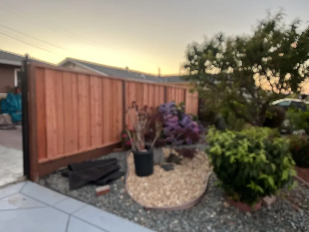Affordable landscaping services in San Jose, CA by D&M Landscape Services