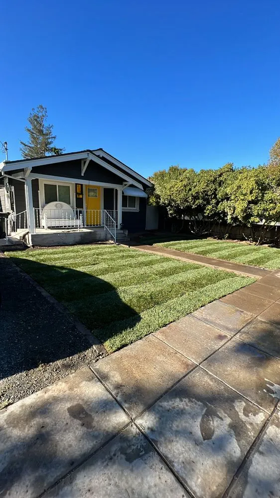 Expert landscaping services in San Jose, CA - D&M Landscape Services