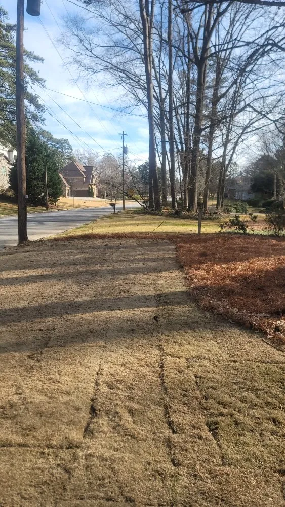 Affordable landscape installation experts serving Marietta, GA - DM Landscaping and Design