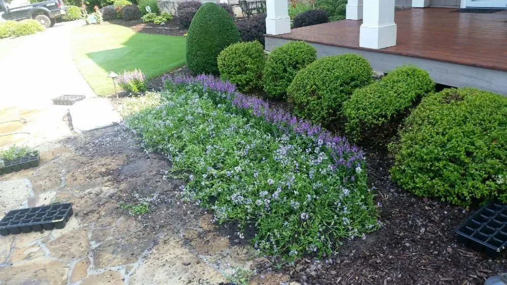 Local lawn care service experts serving Marietta, GA - DM Landscaping and Design