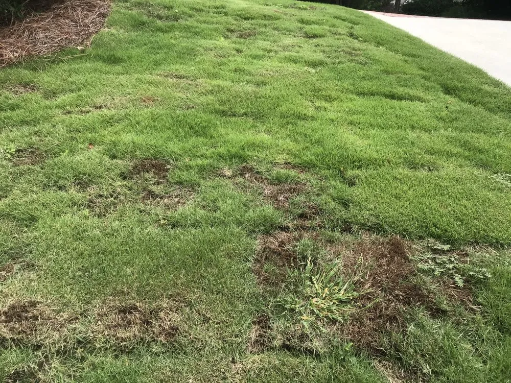 Affordable landscaping services experts serving Marietta, GA - DM Landscaping and Design