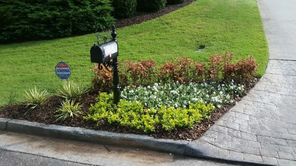 Professional yard cleanup service for year-round maintenance across Marietta, GA - DM Landscaping and Design