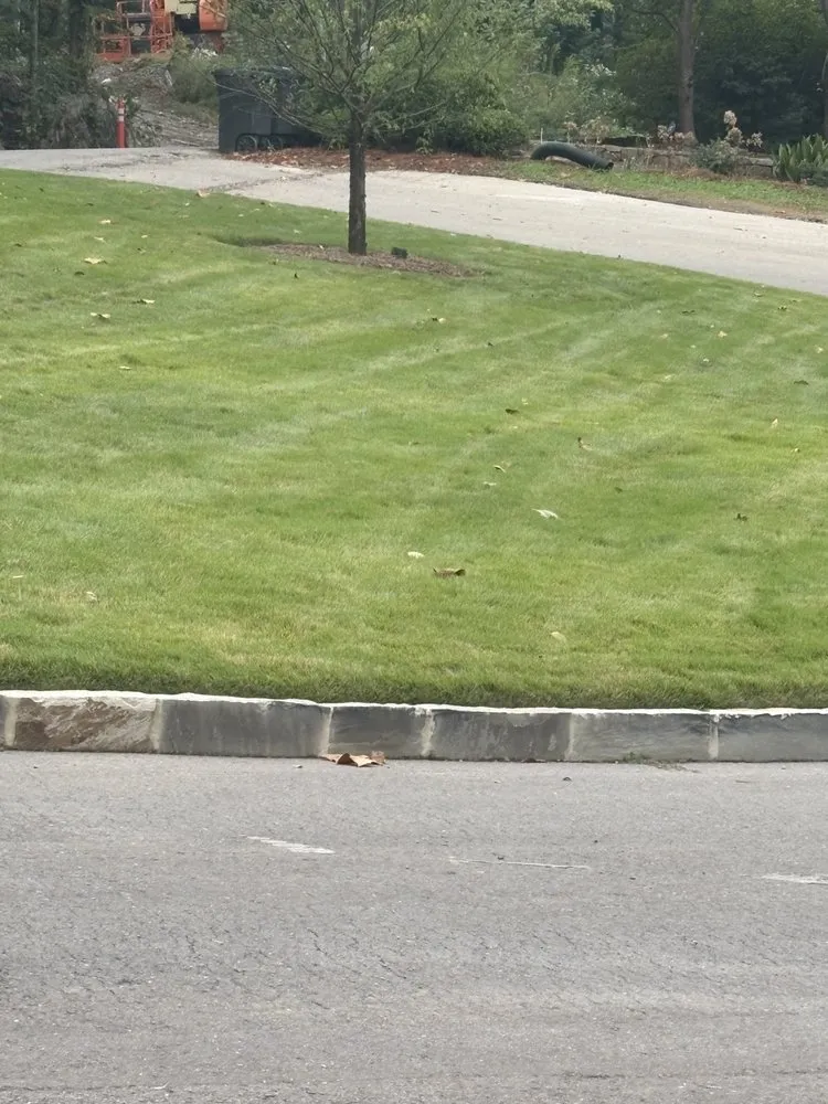 Custom garden landscaping experts serving Hanceville, AL - D&M Landscaping and Turf Management