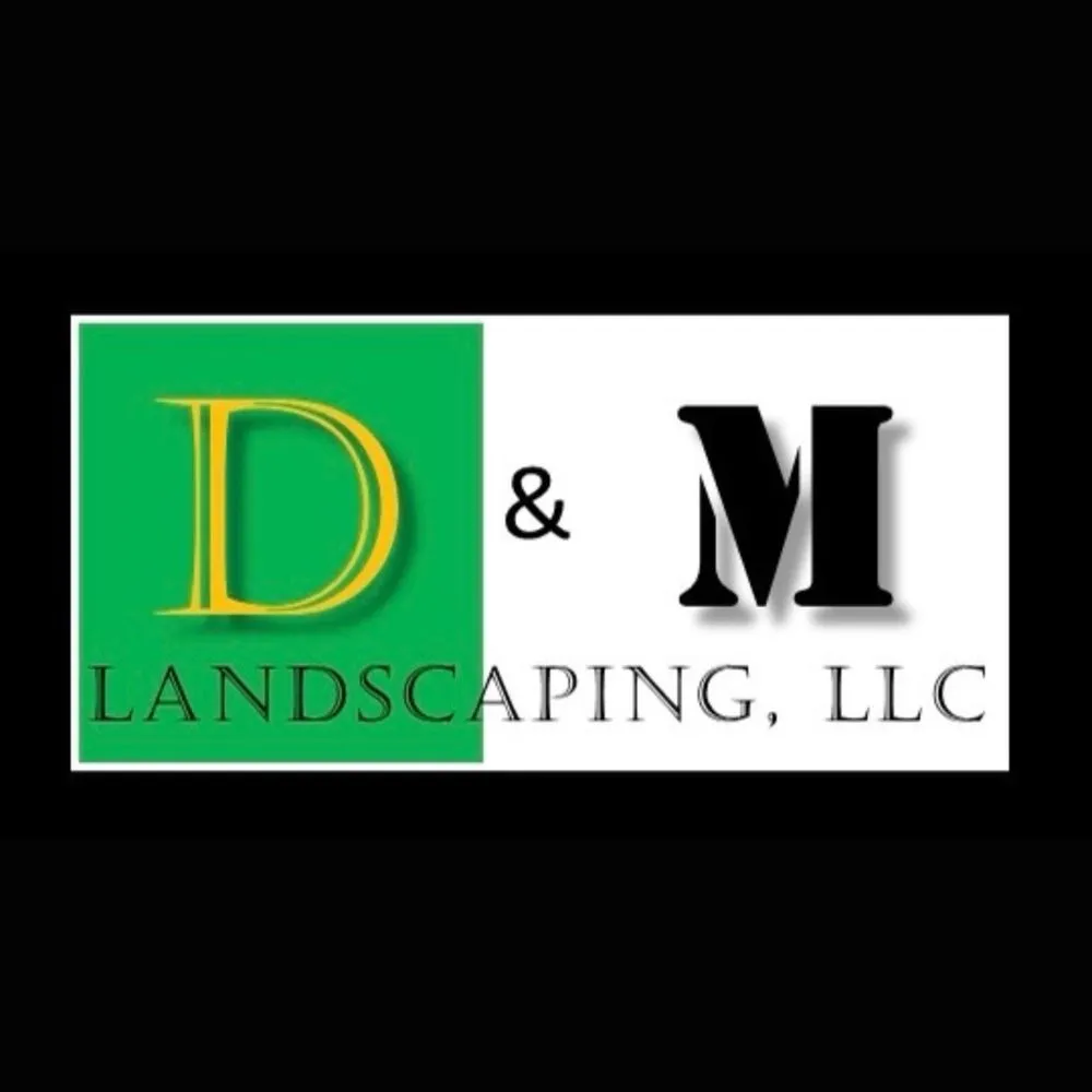 Local yard cleanup service for year-round maintenance across Buckeye, AZ - D&M Landscaping