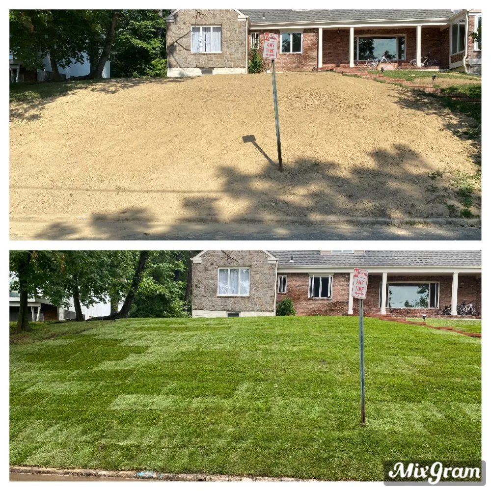 Affordable landscape design in Great Neck, NY - DM Landscaping Design