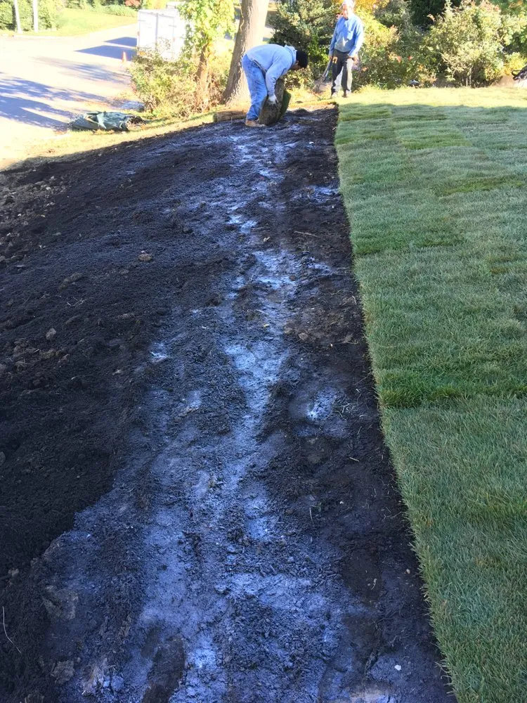 Top-rated landscape installation in Great Neck, NY - DM Landscaping Design