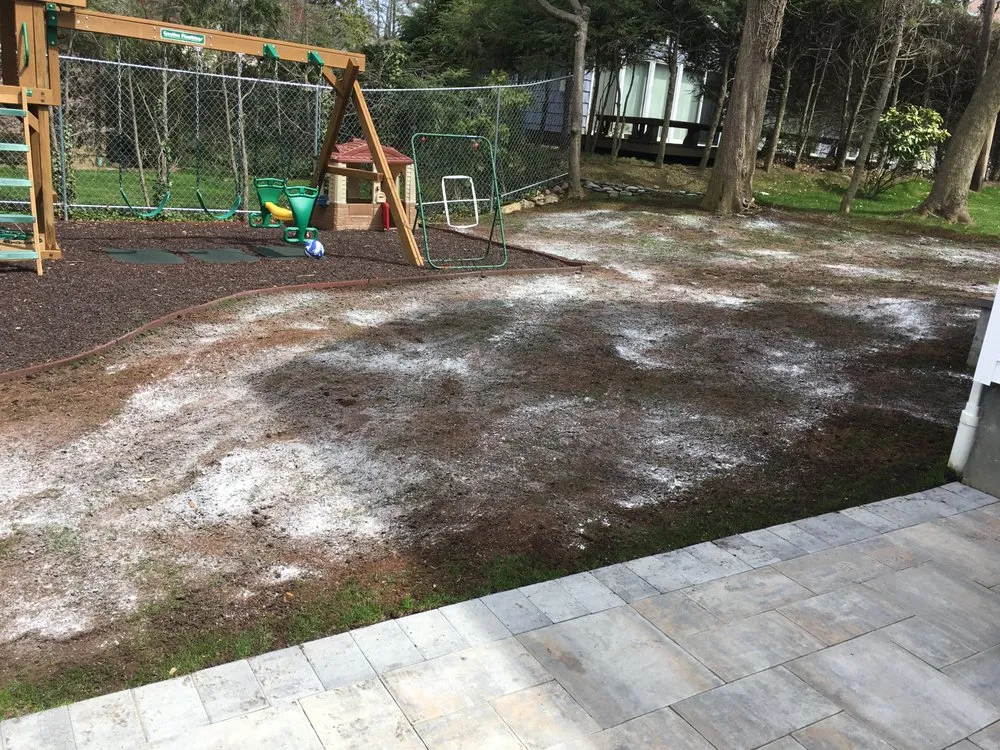 Local lawn care service experts serving Great Neck, NY - DM Landscaping Design