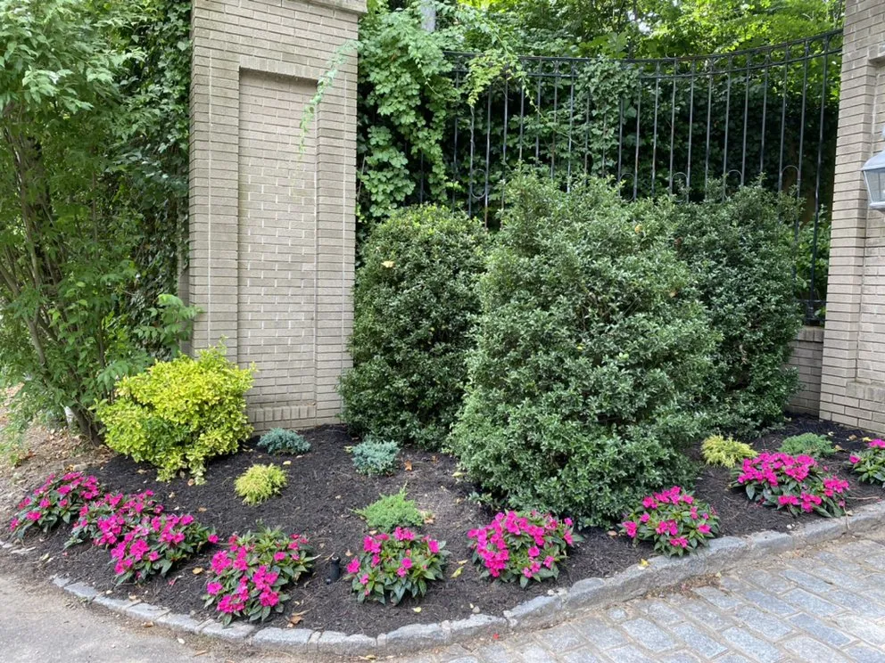 Affordable lawn care service for beautiful yards in Great Neck, NY by DM Landscaping Design