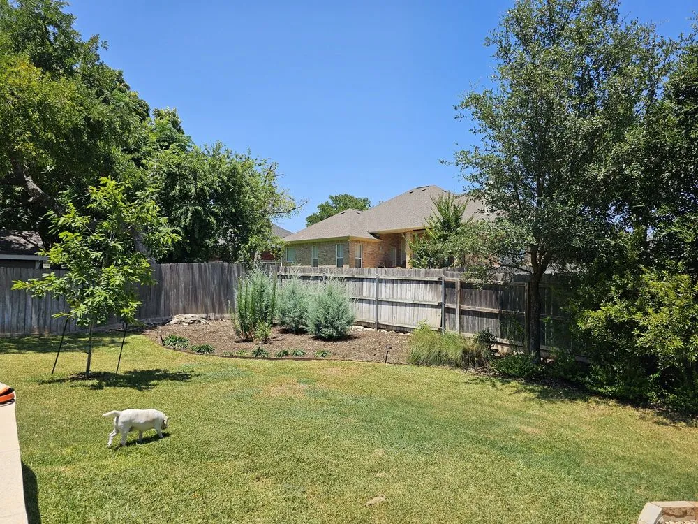 Local landscape design for homes across Temple, TX - D&M Landscaping Kings