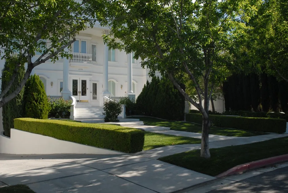 Professional outdoor landscaping in San Diego, CA by D&M Landscaping