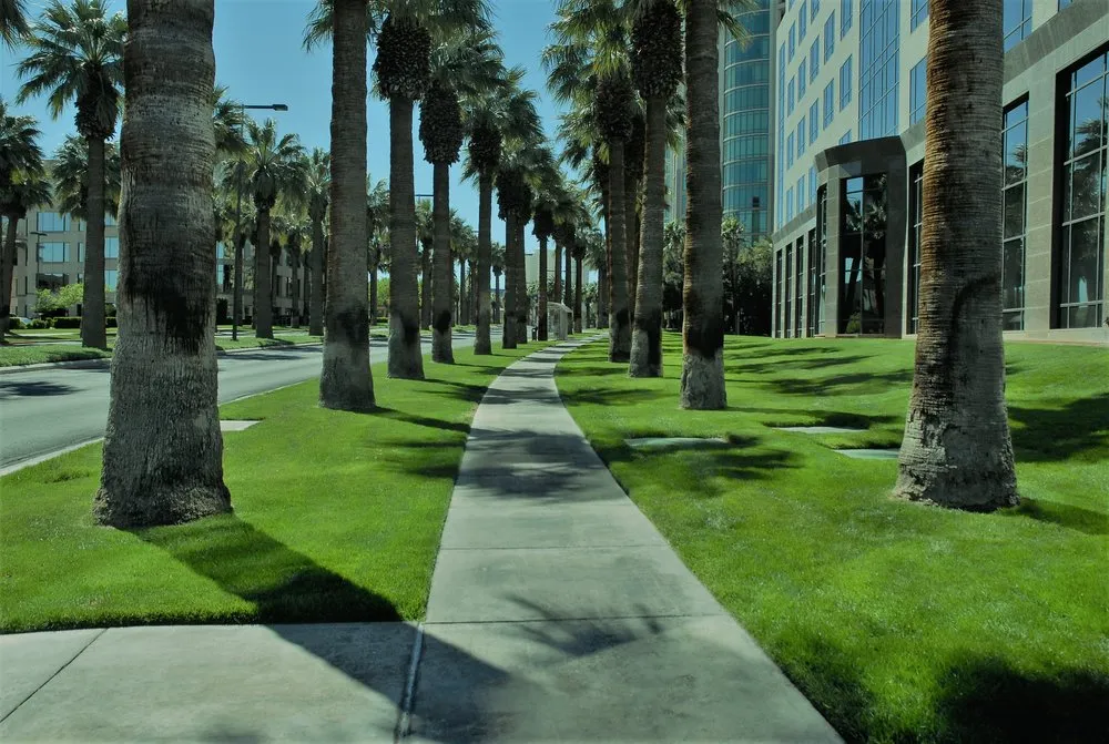 Trusted outdoor landscaping with custom design across San Diego, CA - D&M Landscaping