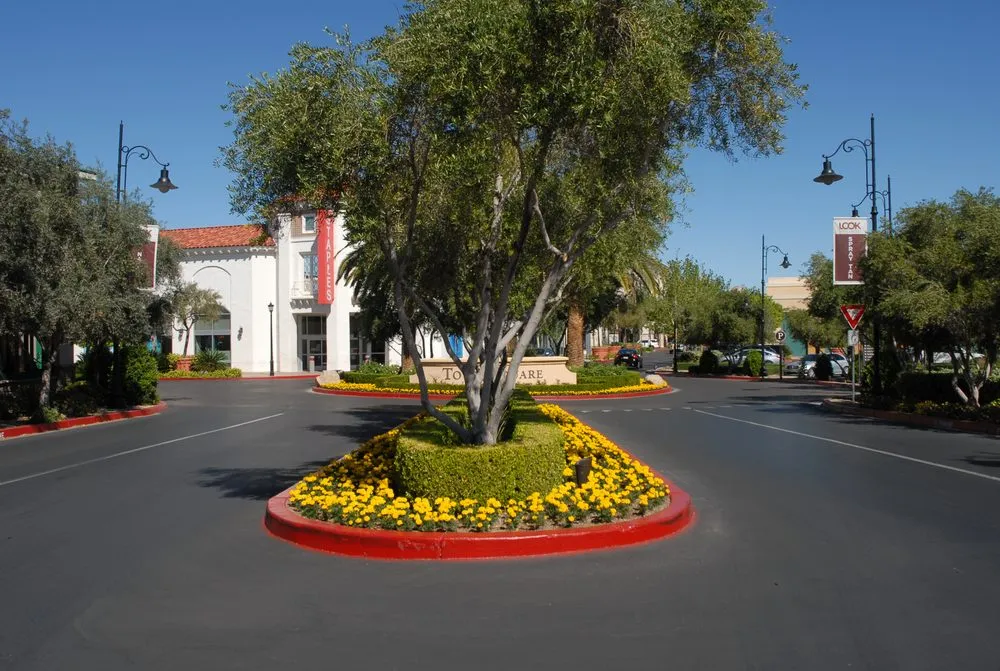 Custom lawn care service experts serving San Diego, CA - D&M Landscaping