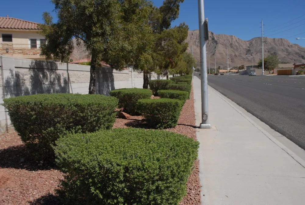 Custom landscape design in San Diego, CA by D&M Landscaping