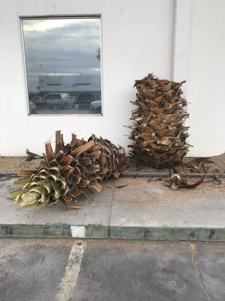 Local residential landscaping for residential properties in San Diego, CA by D&M Landscaping