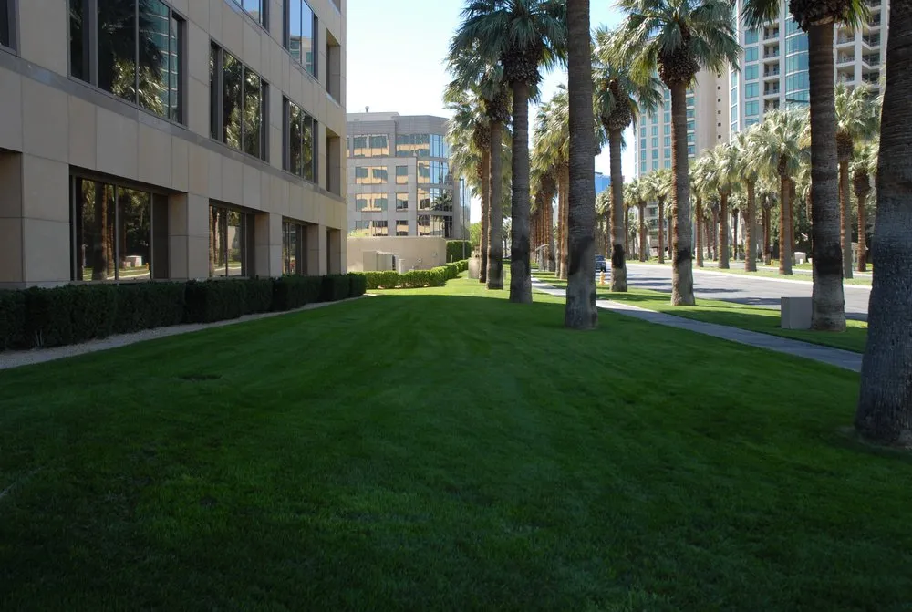 Professional landscaping services in San Diego, CA - D&M Landscaping