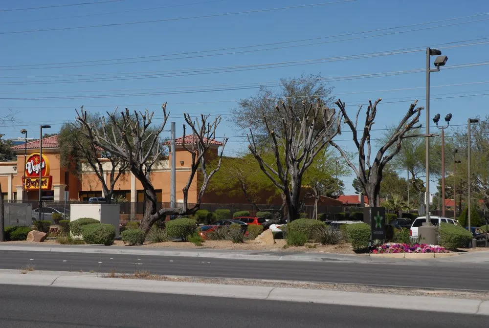 Trusted landscaping services experts serving San Diego, CA - D&M Landscaping