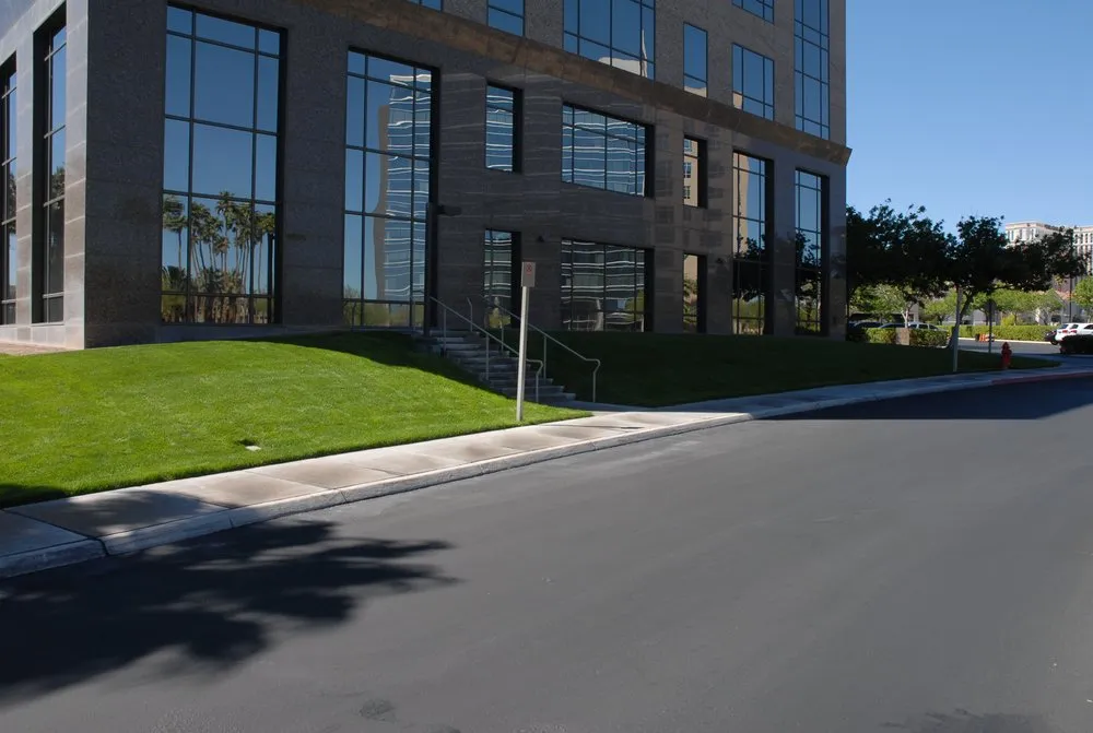 Professional yard cleanup service experts serving San Diego, CA - D&M Landscaping