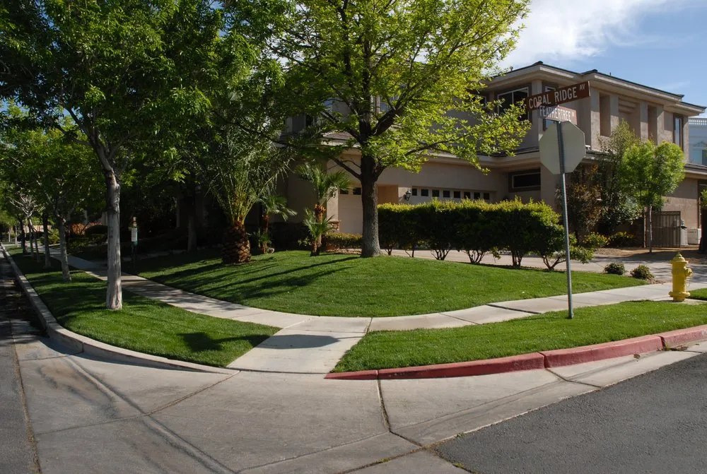 Local residential landscaping in San Diego, CA - D&M Landscaping