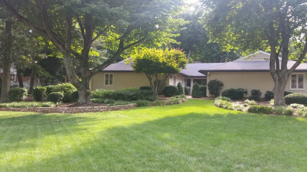 Trusted lawn care service in Winston-Salem, NC by DM Landscaping