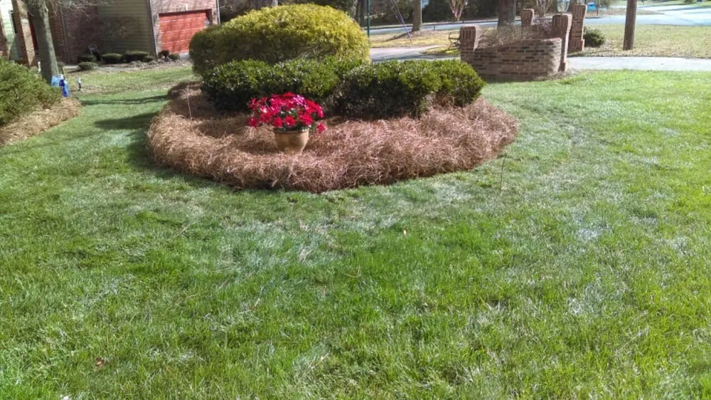 Custom garden landscaping experts serving Winston-Salem, NC - DM Landscaping