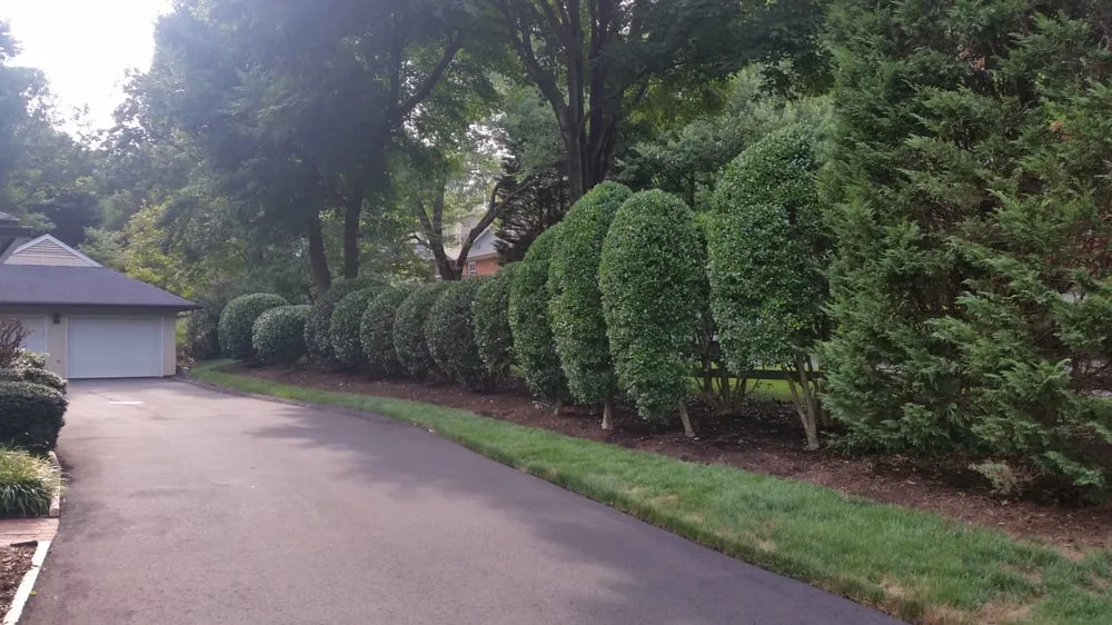 Professional residential landscaping in Winston-Salem, NC by DM Landscaping
