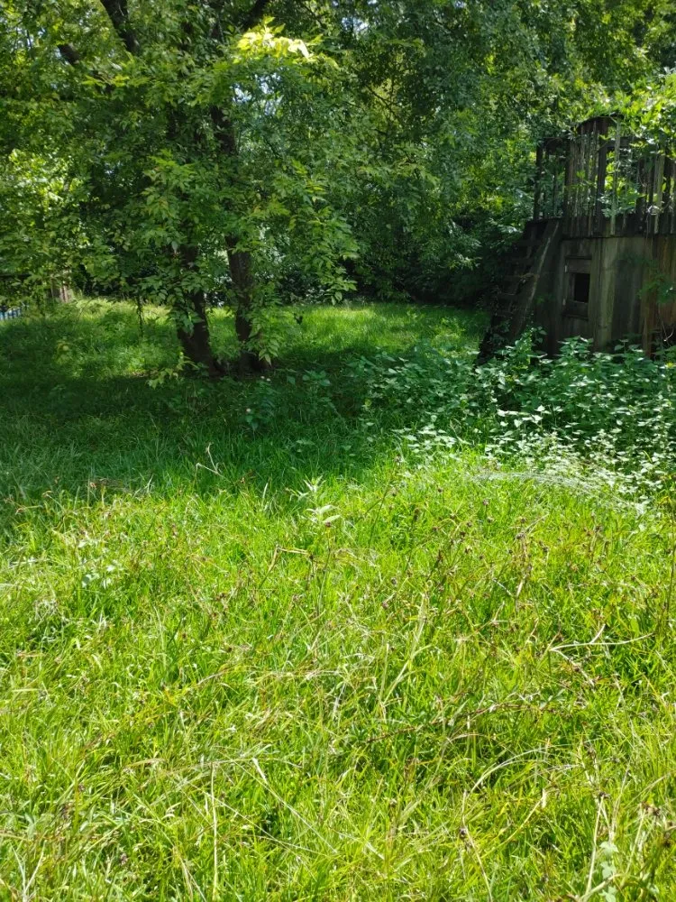 Trusted landscape installation for beautiful yards across Dawson, GA - D&M Lawn & Pressure Washing