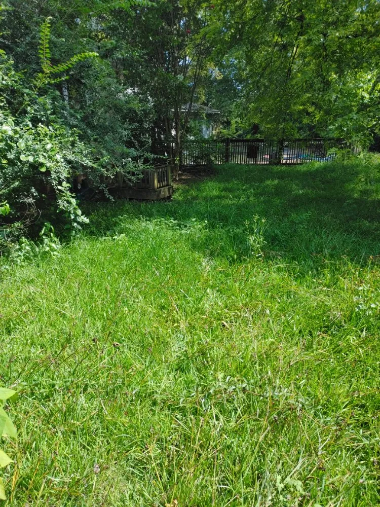 Top-rated landscaping services experts serving Dawson, GA - D&M Lawn & Pressure Washing