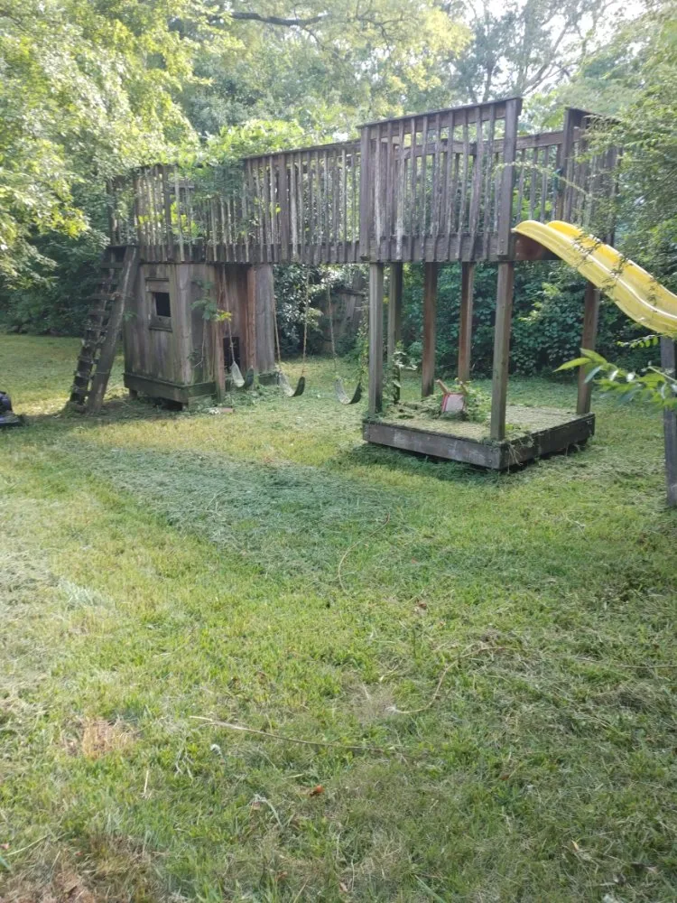 Trusted landscaping services near you in Dawson, GA by D&M Lawn & Pressure Washing