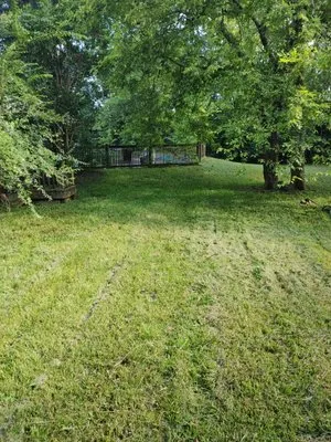 D&M Lawn & Pressure Washing