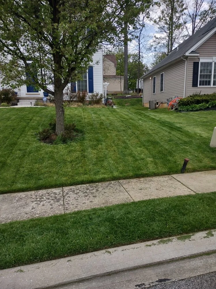 Trusted residential landscaping experts serving Baltimore, MD - D&M Lawn Care