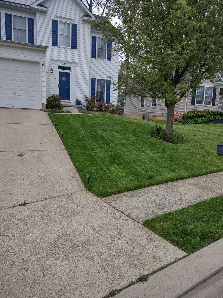 Custom garden landscaping experts serving Baltimore, MD - D&M Lawn Care
