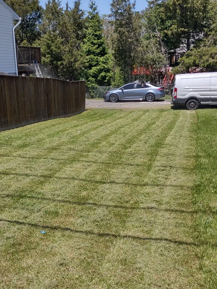 Expert yard cleanup service experts serving Baltimore, MD - D&M Lawn Care