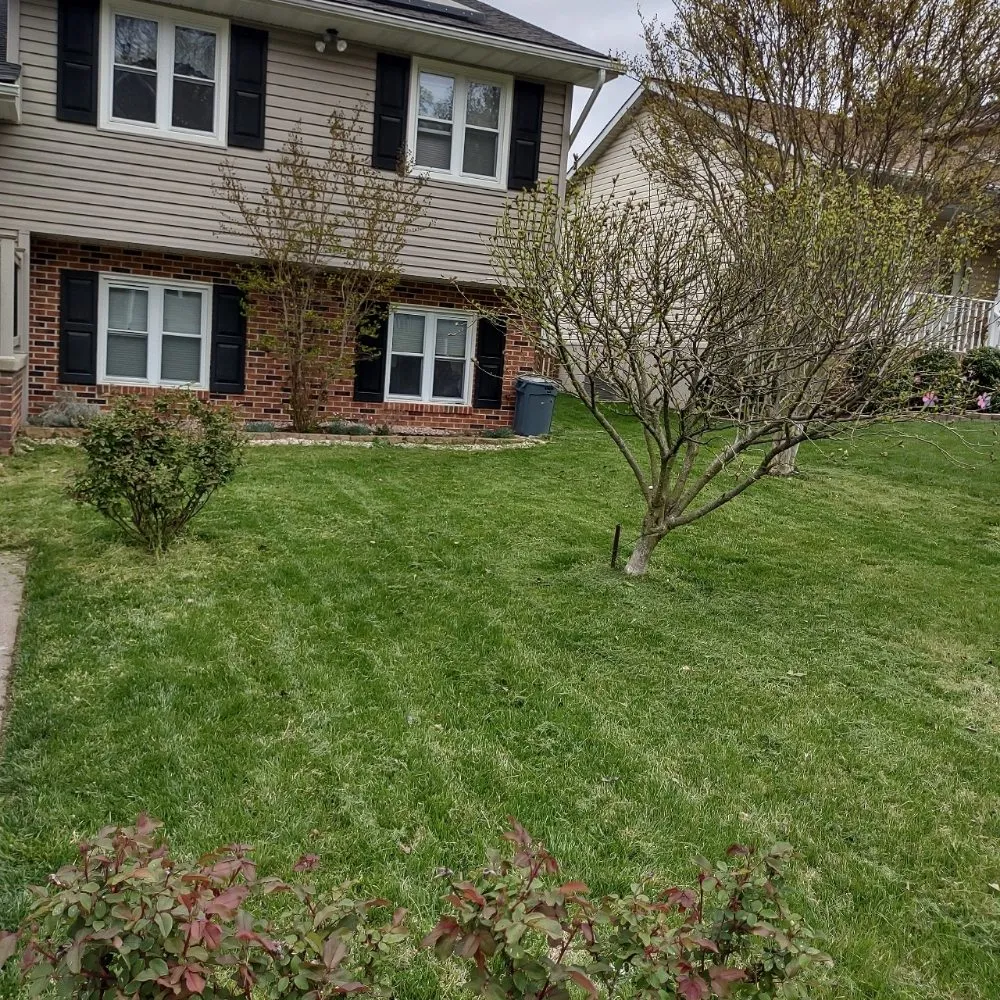 Trusted residential landscaping for outdoor upgrades across Baltimore, MD - D&M Lawn Care