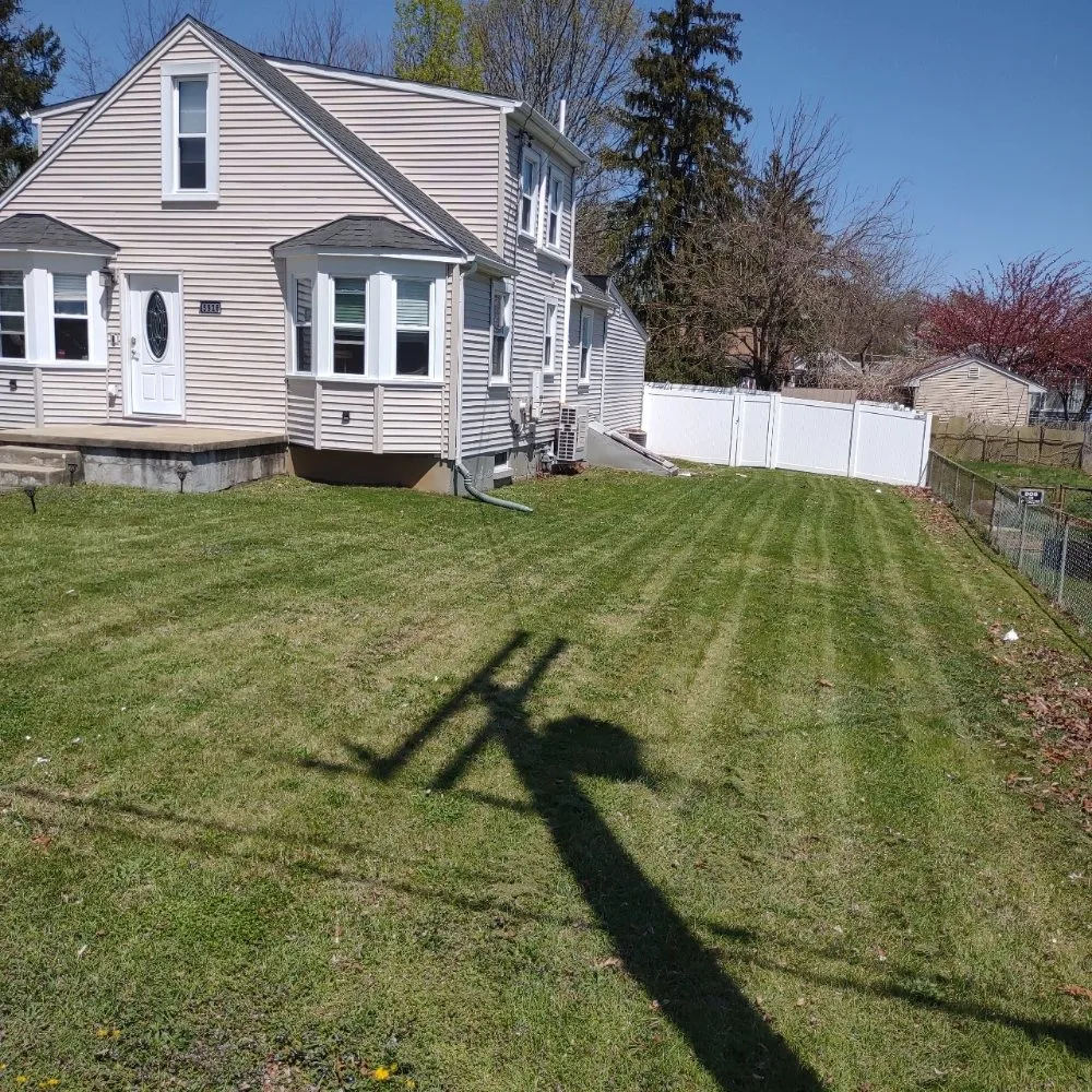 Affordable landscaping services in Baltimore, MD - D&M Lawn Care