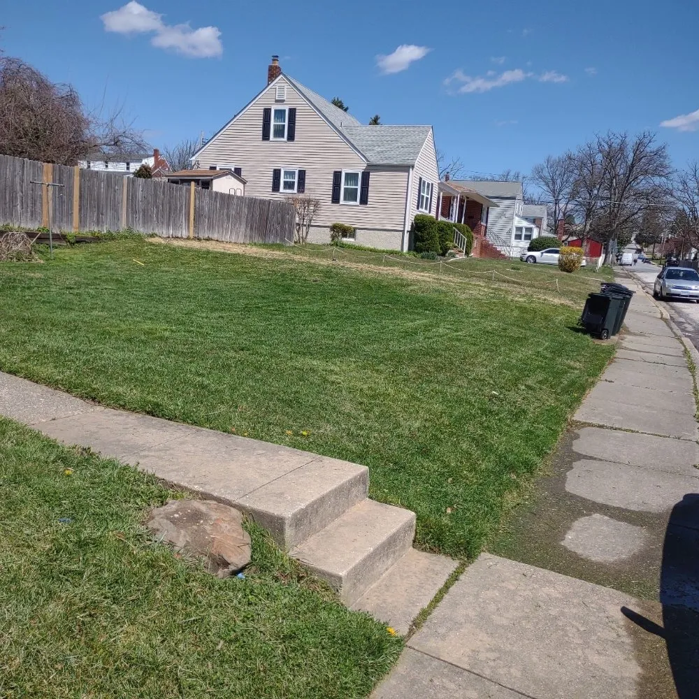 Custom yard cleanup service for year-round maintenance in Baltimore, MD by D&M Lawn Care