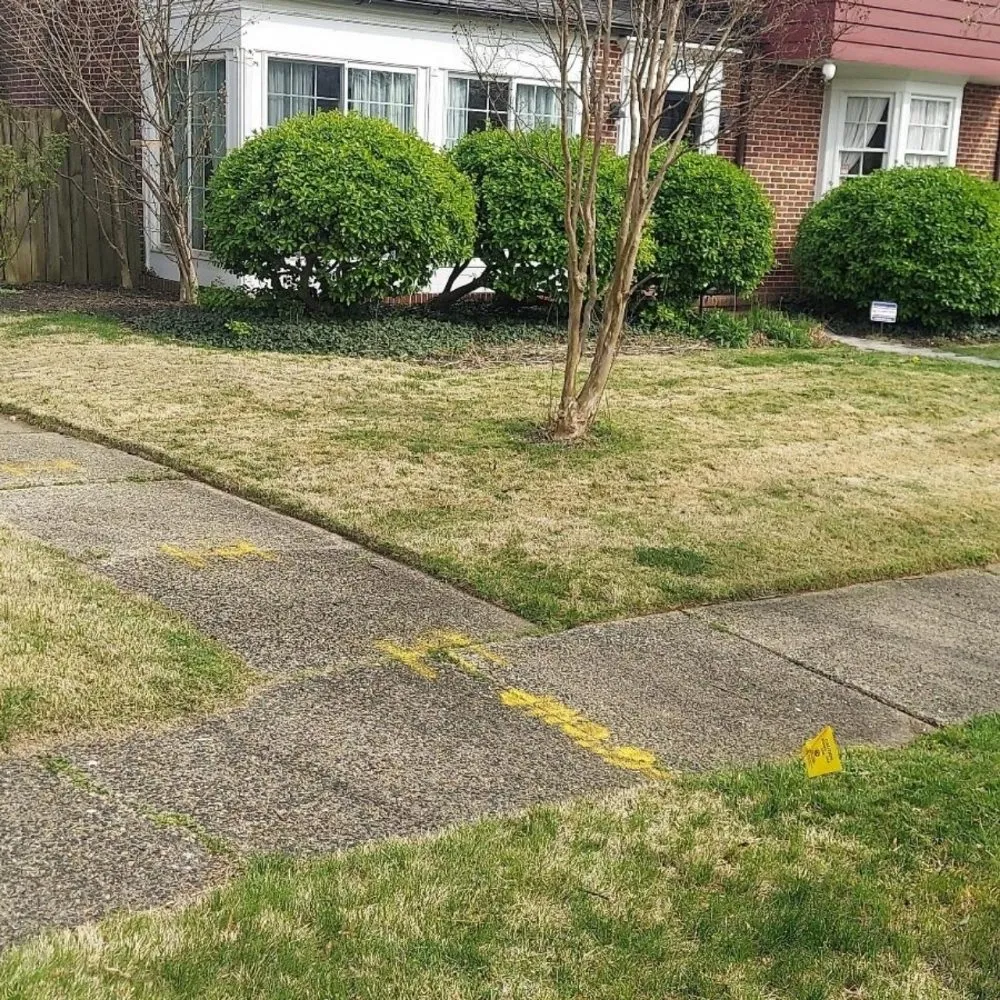 Expert lawn care service for homes across Baltimore, MD - D&M Lawn Care