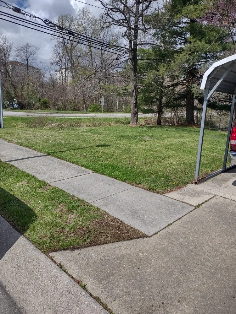 Trusted lawn care service for beautiful yards in Baltimore, MD by D&M Lawn Care