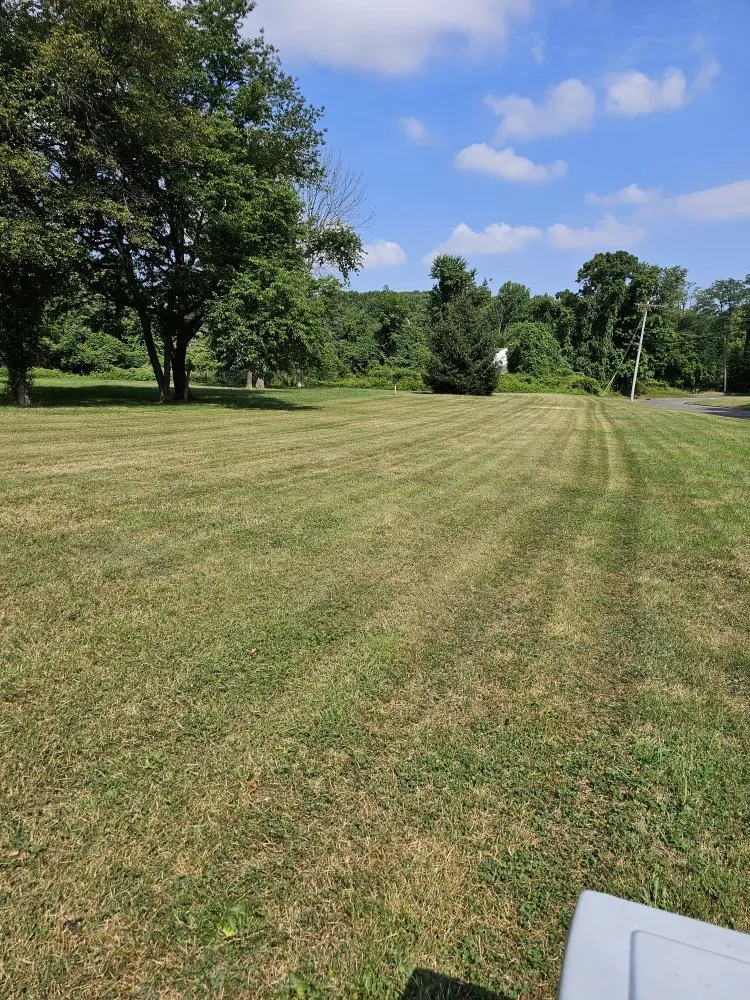 Reliable lawn care service experts serving Edison, NJ - D&M Lawn Care