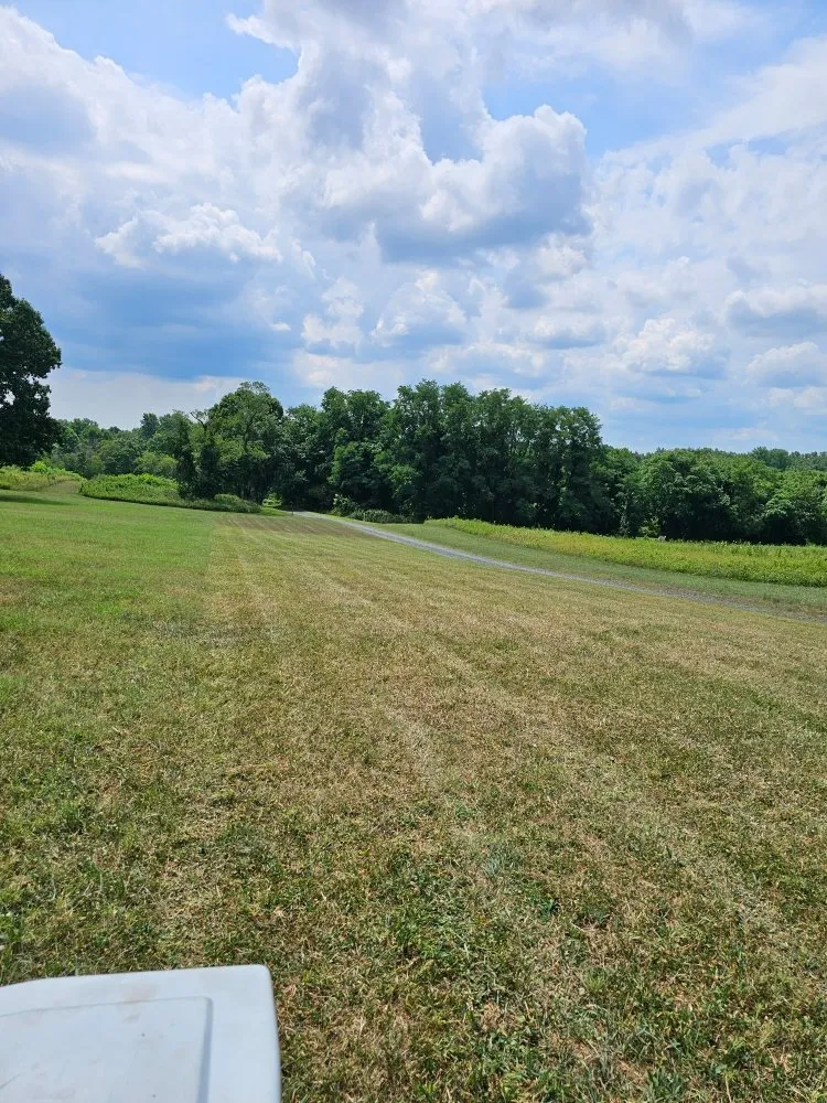 Professional lawn care service for outdoor upgrades in Edison, NJ by D&M Lawn Care