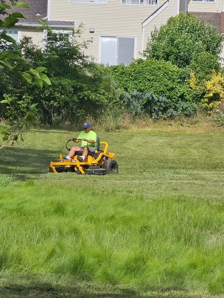 Top-rated landscaping services for outdoor upgrades in Edison, NJ by D&M Lawn Care