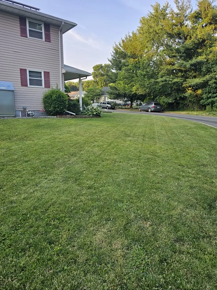 Trusted landscape installation with custom design in Edison, NJ by D&M Lawn Care