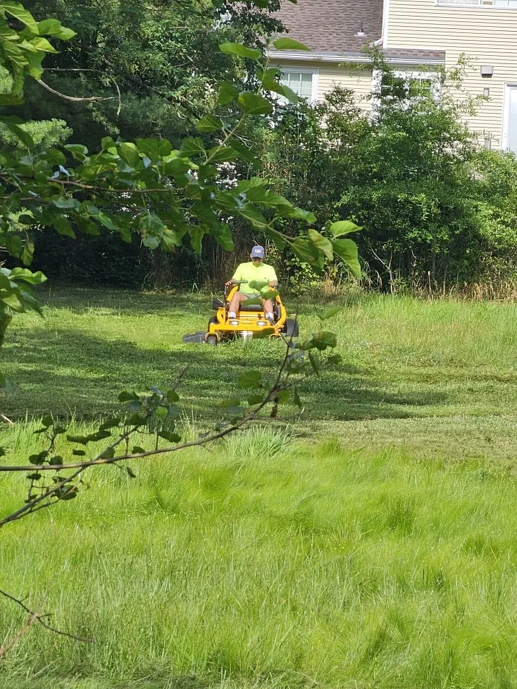 Affordable residential landscaping in Edison, NJ - D&M Lawn Care