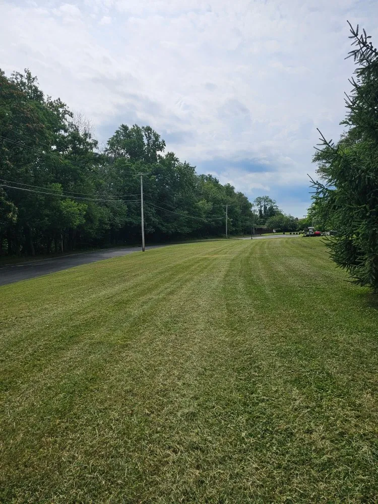 Reliable yard cleanup service in Edison, NJ - D&M Lawn Care