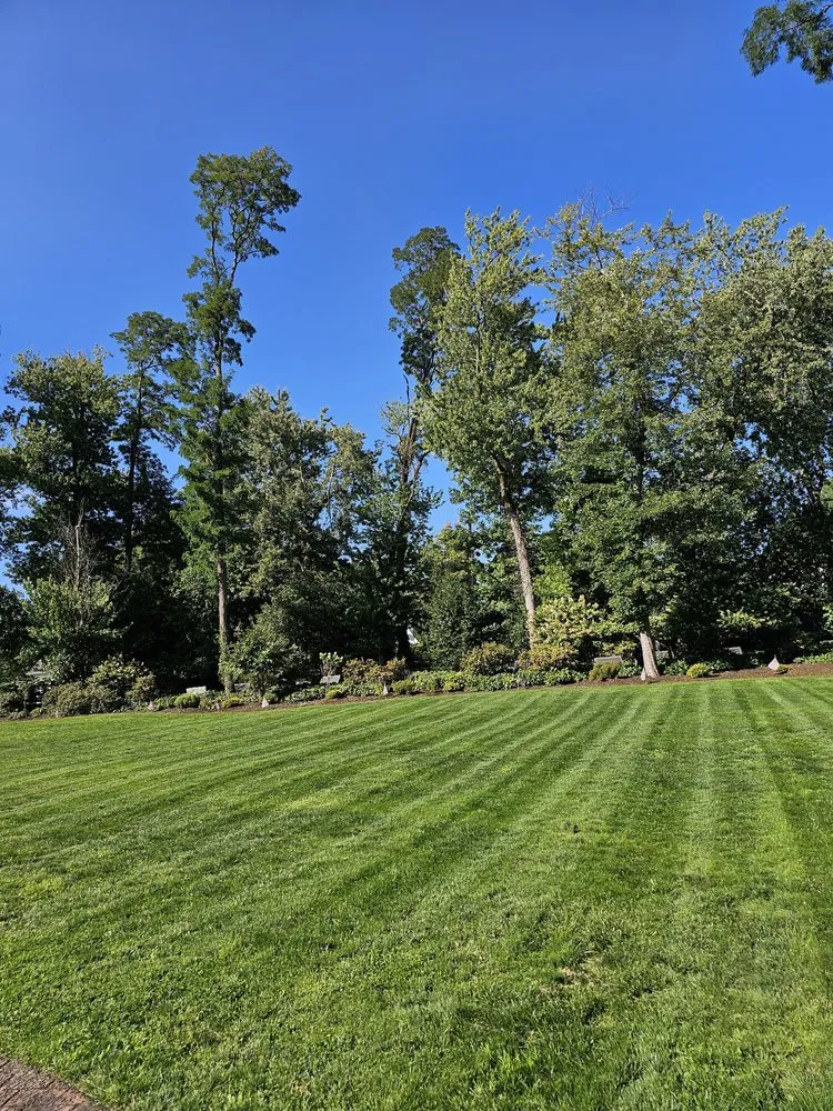 Trusted landscape installation in Edison, NJ by D&M Lawn Care