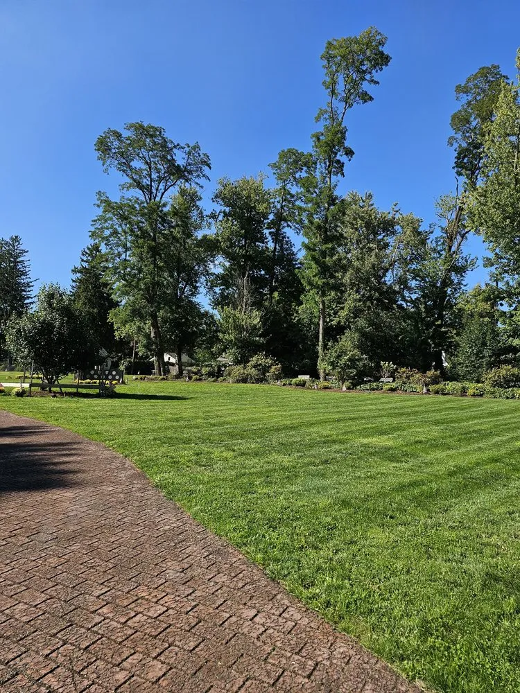 Local lawn mowing service in Edison, NJ - D&M Lawn Care