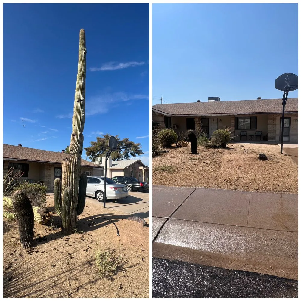 Local yard cleanup service for homes across Phoenix, AZ - D&M Lawncare and Landscaping